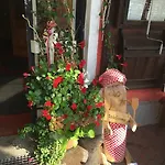 Bed & Breakfast Goldener Stiefel 3*