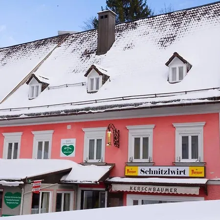 Bed & Breakfast Goldener Stiefel 3* Mariazell